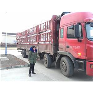 Fabrikadan QingDao limanına nakliye
